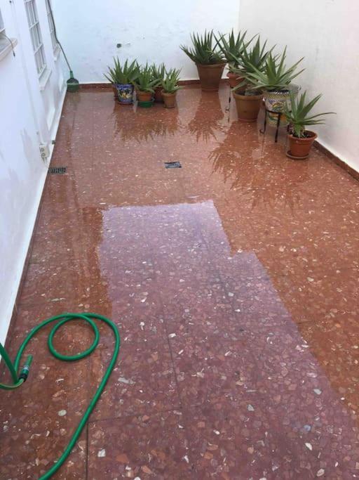Casa Soleada En Calle Tranquila Sevilla Dış mekan fotoğraf