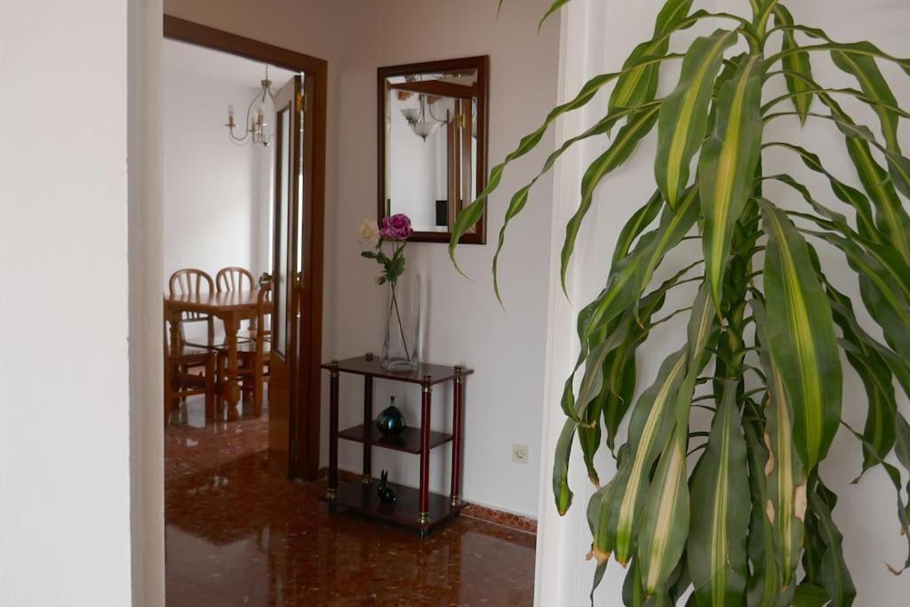 Casa Soleada En Calle Tranquila Sevilla Dış mekan fotoğraf