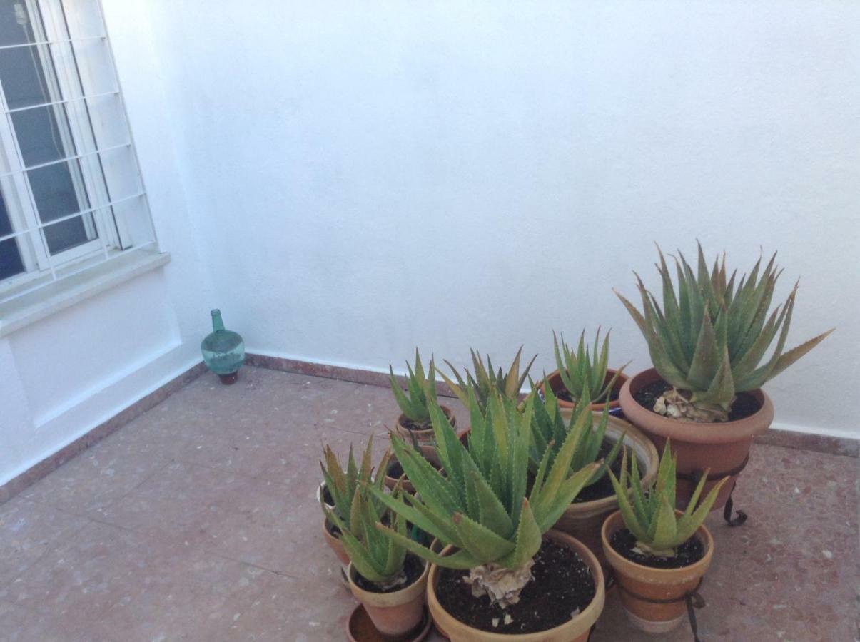 Casa Soleada En Calle Tranquila Sevilla Dış mekan fotoğraf